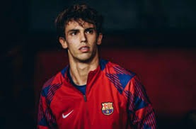 新华社消息丨国家体育总局局长高志丹：今年将创设全国青少年田径运动会